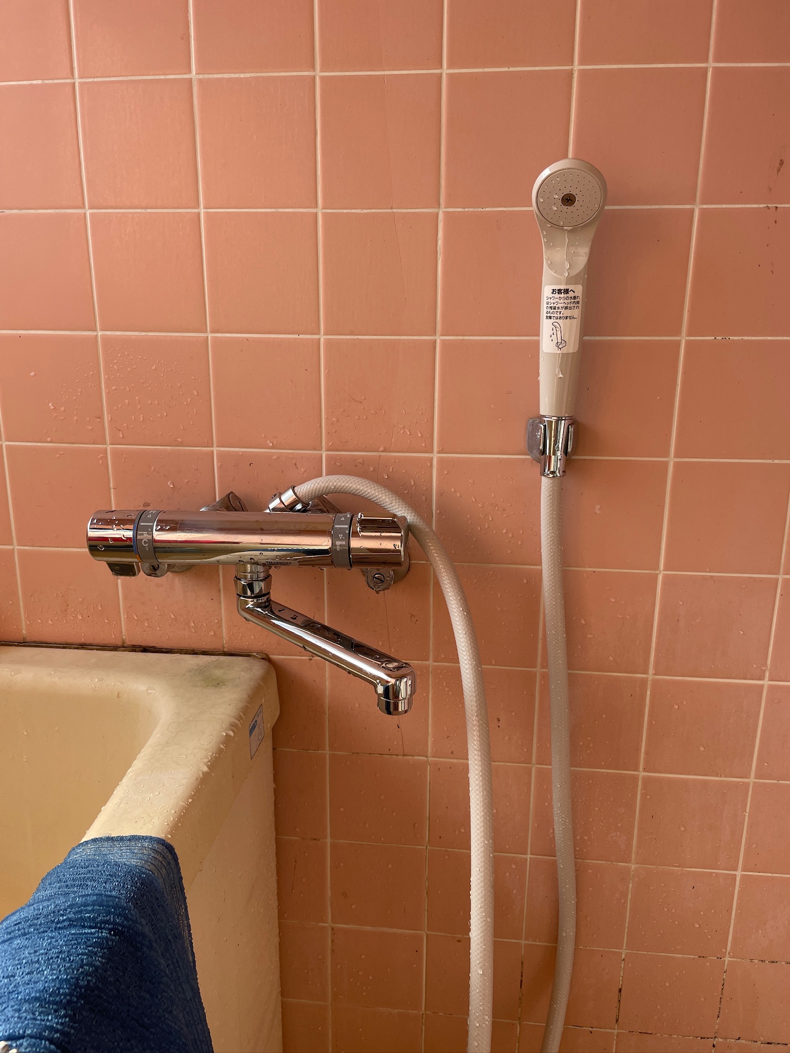 宇都宮市M様邸 混合水栓・シャワー取替